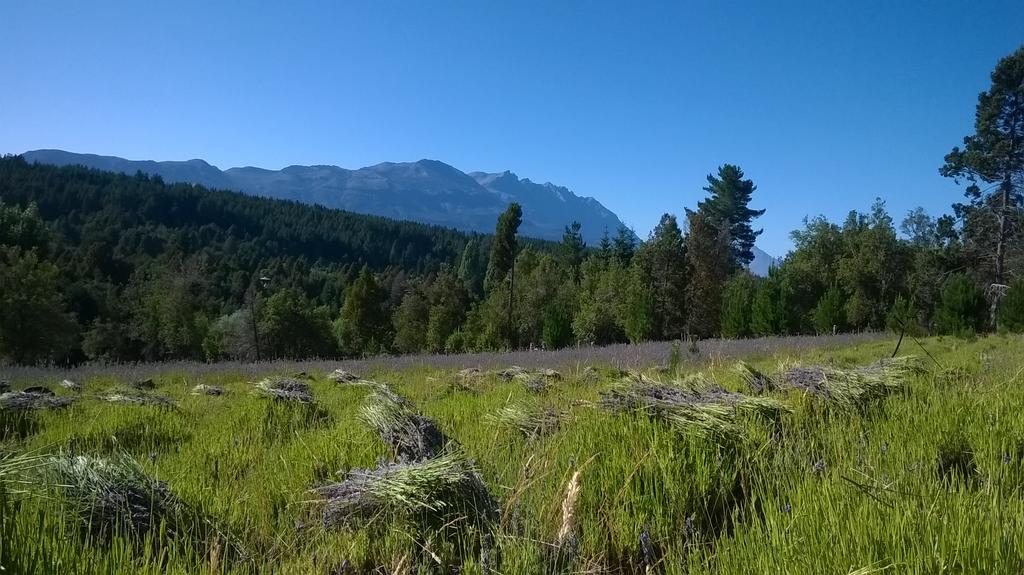 El Bolsón Morada Del Sol - Experiencia De Montanaヴィラ エクステリア 写真
